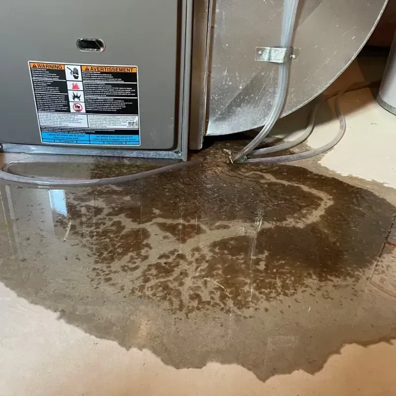 Appliance Leak Cleanup in Albion, IN